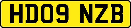 HD09NZB