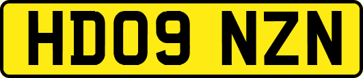 HD09NZN