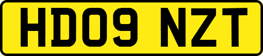 HD09NZT