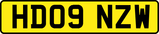 HD09NZW
