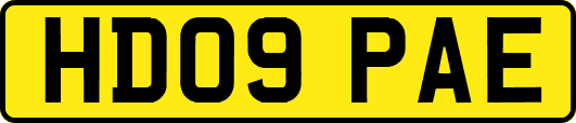 HD09PAE