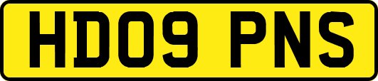 HD09PNS