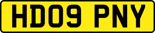 HD09PNY