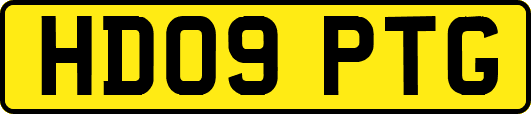 HD09PTG