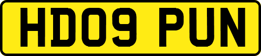 HD09PUN