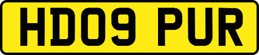 HD09PUR