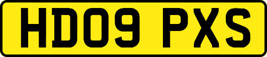 HD09PXS