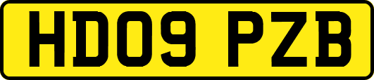 HD09PZB
