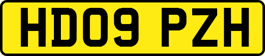 HD09PZH