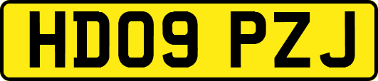 HD09PZJ