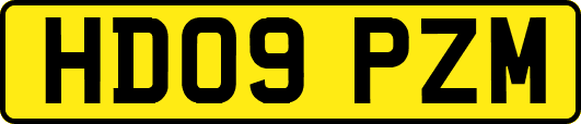 HD09PZM