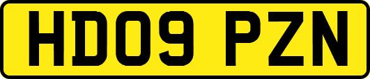 HD09PZN