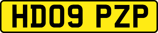 HD09PZP