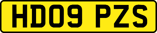 HD09PZS