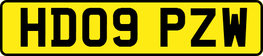 HD09PZW