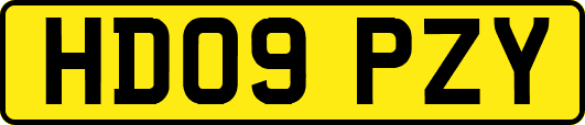 HD09PZY