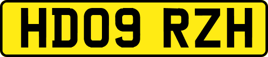 HD09RZH