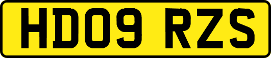 HD09RZS