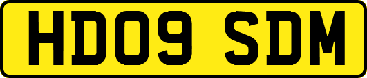 HD09SDM