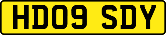 HD09SDY