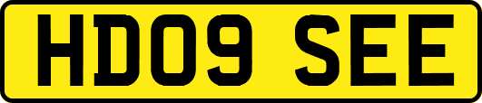 HD09SEE