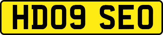 HD09SEO