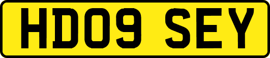 HD09SEY