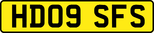 HD09SFS