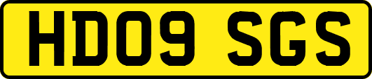 HD09SGS