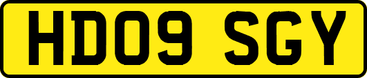 HD09SGY