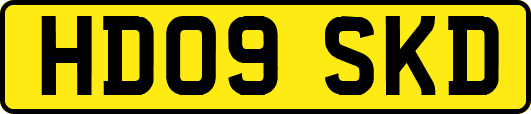 HD09SKD