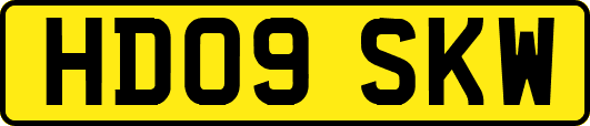 HD09SKW