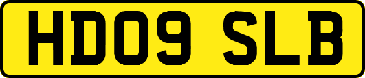 HD09SLB