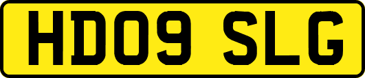 HD09SLG