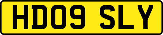HD09SLY