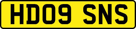 HD09SNS
