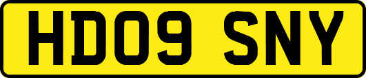 HD09SNY
