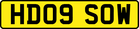 HD09SOW