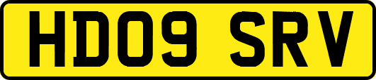 HD09SRV
