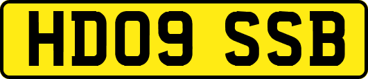 HD09SSB