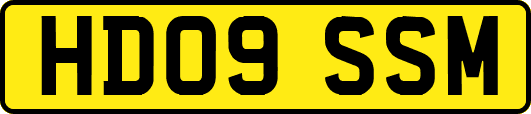 HD09SSM