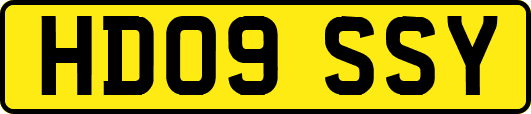 HD09SSY
