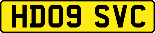 HD09SVC