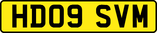 HD09SVM