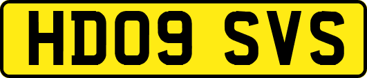 HD09SVS