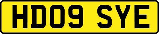HD09SYE