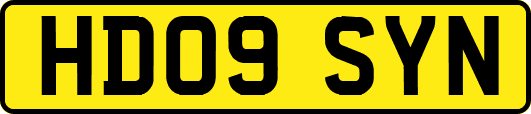 HD09SYN