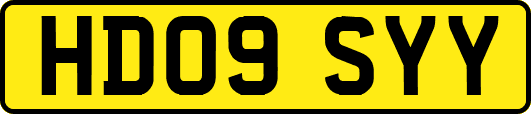HD09SYY