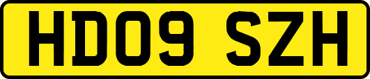 HD09SZH