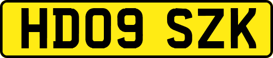 HD09SZK